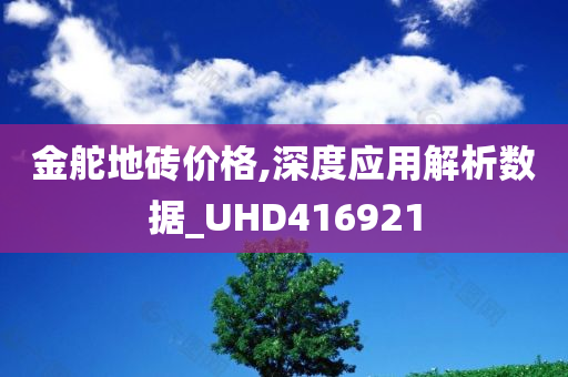 金舵地砖价格,深度应用解析数据_UHD416921