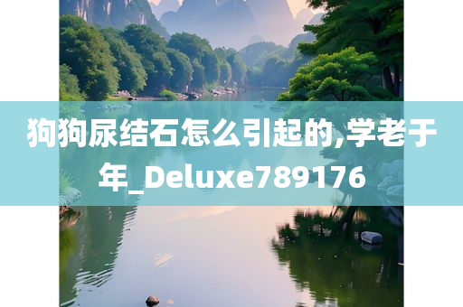 狗狗尿结石怎么引起的,学老于年_Deluxe789176