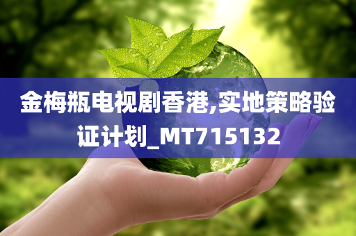 金梅瓶电视剧香港,实地策略验证计划_MT715132