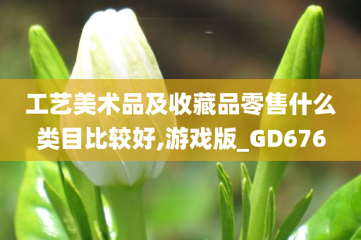 工艺美术品及收藏品零售什么类目比较好,游戏版_GD676