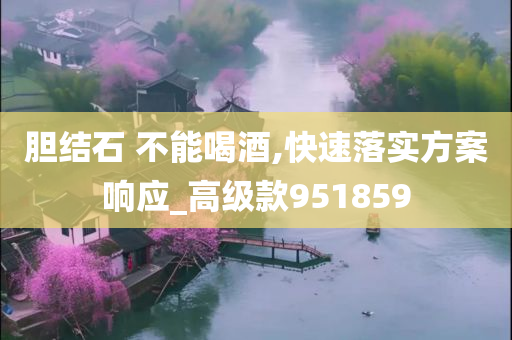 胆结石 不能喝酒,快速落实方案响应_高级款951859