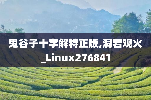 鬼谷子十字解特正版,洞若观火_Linux276841