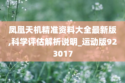 凤凰天机精准资料大全最新版,科学评估解析说明_运动版923017