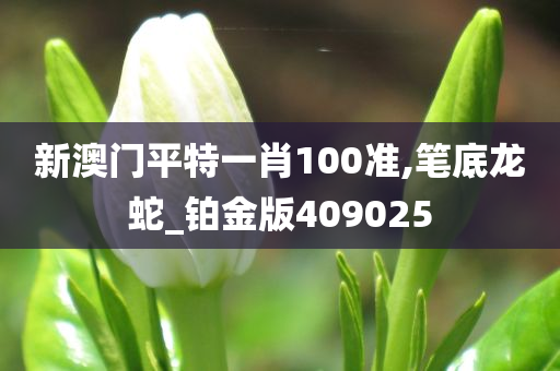 新澳门平特一肖100准,笔底龙蛇_铂金版409025