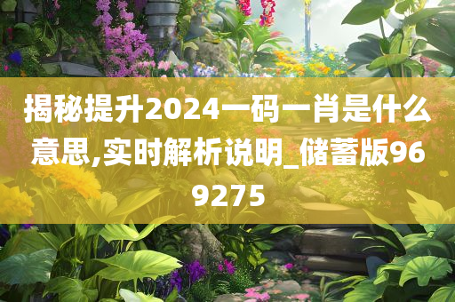 揭秘提升2024一码一肖是什么意思,实时解析说明_储蓄版969275