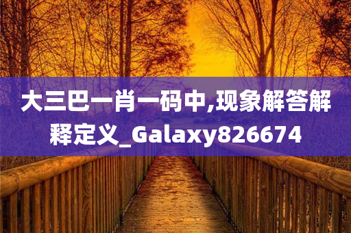 大三巴一肖一码中,现象解答解释定义_Galaxy826674