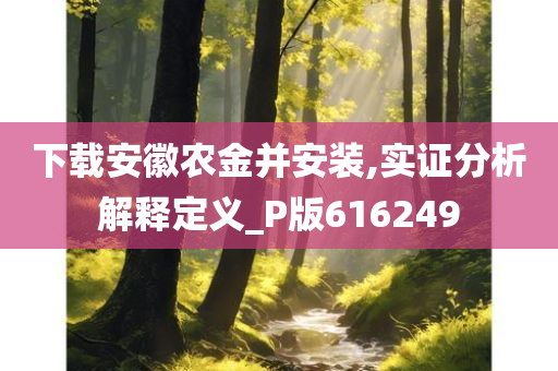 下载安徽农金并安装,实证分析解释定义_P版616249