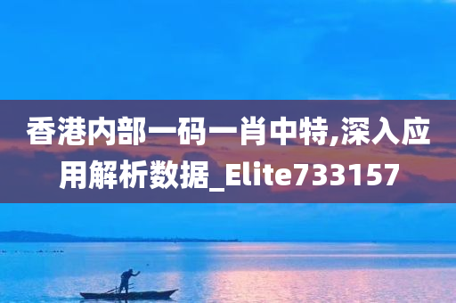 香港内部一码一肖中特,深入应用解析数据_Elite733157