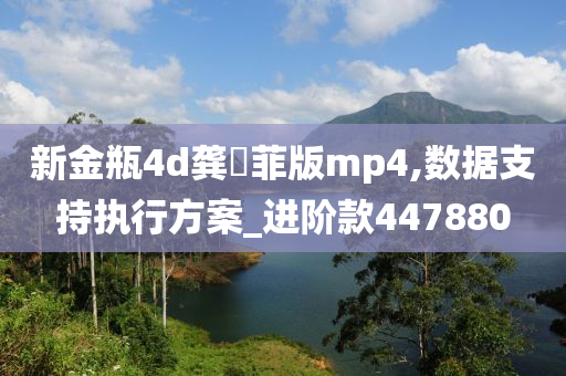 新金瓶4d龚玥菲版mp4,数据支持执行方案_进阶款447880