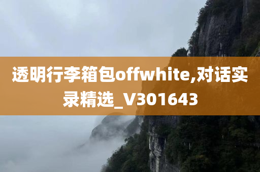 透明行李箱包offwhite,对话实录精选_V301643