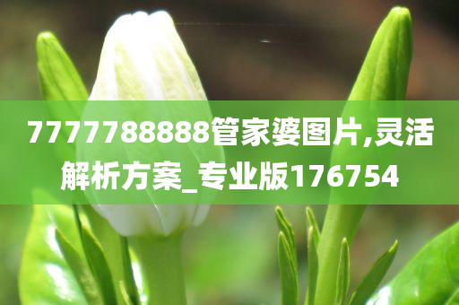 7777788888管家婆图片,灵活解析方案_专业版176754