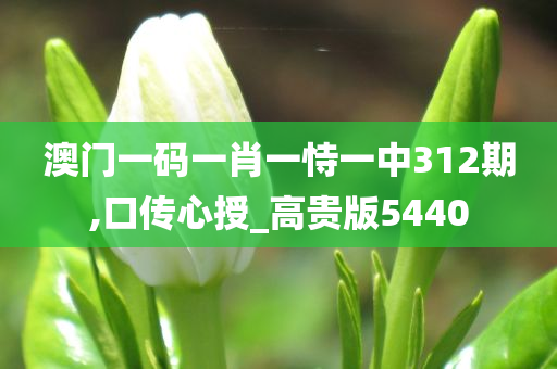 澳门一码一肖一恃一中312期,口传心授_高贵版5440