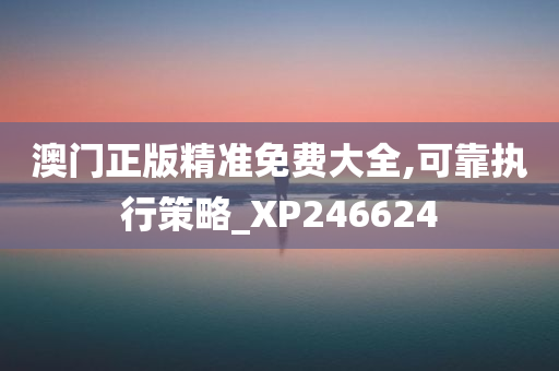 澳门正版精准免费大全,可靠执行策略_XP246624