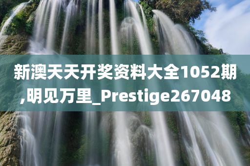 新澳天天开奖资料大全1052期,明见万里_Prestige267048