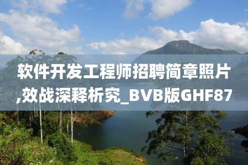 软件开发工程师招聘简章照片,效战深释析究_BVB版GHF87