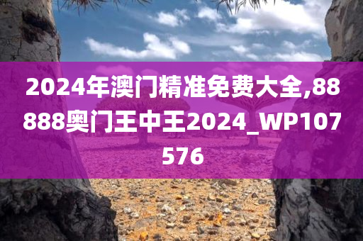 2024年澳门精准免费大全,88888奥门王中王2024_WP107576