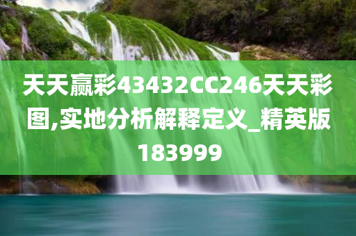 天天赢彩43432CC246天天彩图,实地分析解释定义_精英版183999