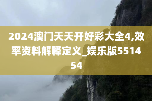 2024澳门天天开好彩大全4,效率资料解释定义_娱乐版551454