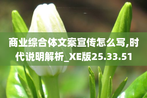 商业综合体文案宣传怎么写,时代说明解析_XE版25.33.51