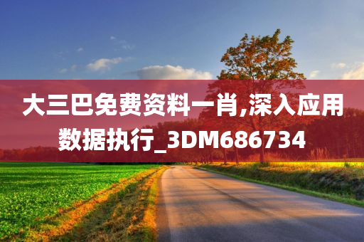 大三巴免费资料一肖,深入应用数据执行_3DM686734