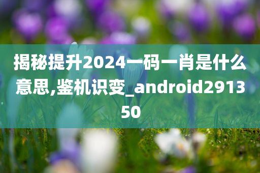 揭秘提升2024一码一肖是什么意思,鉴机识变_android291350