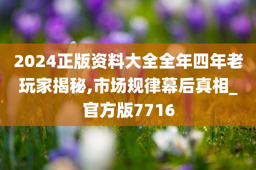 2024正版资料大全全年四年老玩家揭秘,市场规律幕后真相_官方版7716