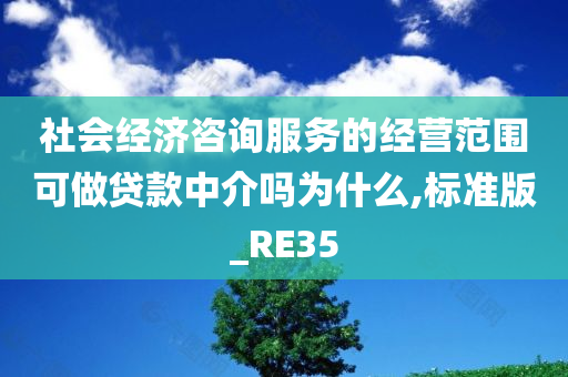 社会经济咨询服务的经营范围可做贷款中介吗为什么,标准版_RE35