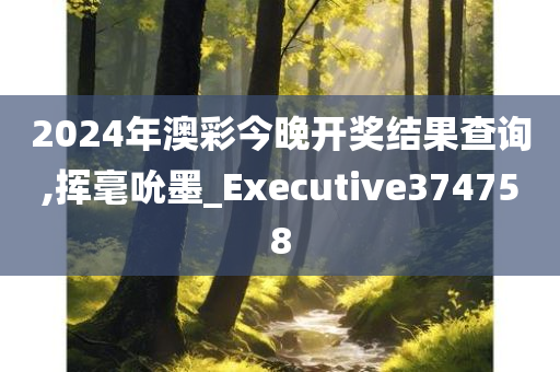 2024年澳彩今晚开奖结果查询,挥毫吮墨_Executive374758