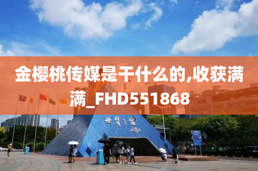 金樱桃传媒是干什么的,收获满满_FHD551868