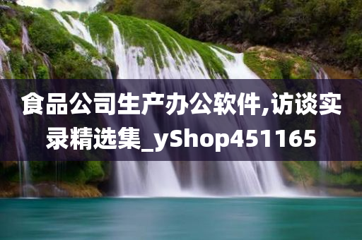 食品公司生产办公软件,访谈实录精选集_yShop451165