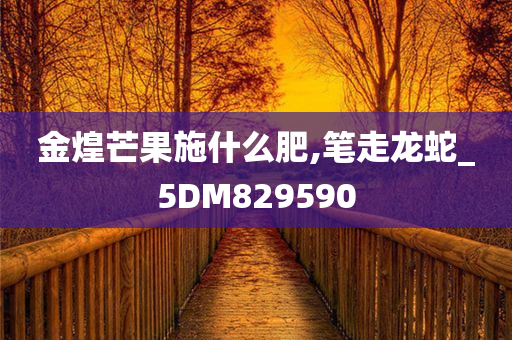 金煌芒果施什么肥,笔走龙蛇_5DM829590