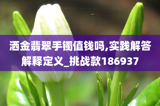 洒金翡翠手镯值钱吗,实践解答解释定义_挑战款186937