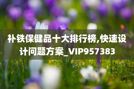 补铁保健品十大排行榜,快速设计问题方案_VIP957383