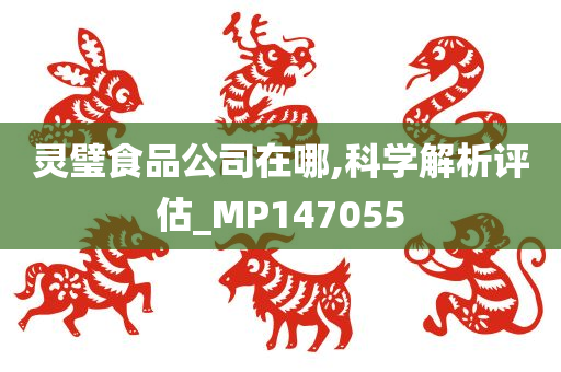 灵璧食品公司在哪,科学解析评估_MP147055