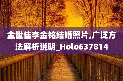 金世佳李金铭结婚照片,广泛方法解析说明_Holo637814