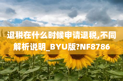 退税在什么时候申请退税,不同解析说明_BYU版?NF8786