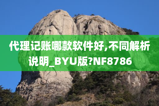 代理记账哪款软件好,不同解析说明_BYU版?NF8786