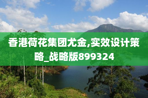 香港荷花集团尤金,实效设计策略_战略版899324