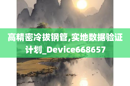 高精密冷拔钢管,实地数据验证计划_Device668657