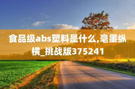 食品级abs塑料是什么,毫墨纵横_挑战版375241