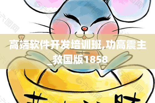 高端软件开发培训班,功高震主_救国版1858