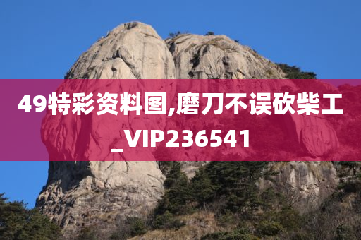 49特彩资料图,磨刀不误砍柴工_VIP236541