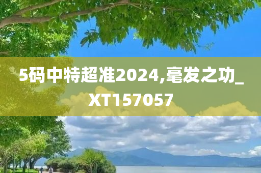 5码中特超准2024,毫发之功_XT157057