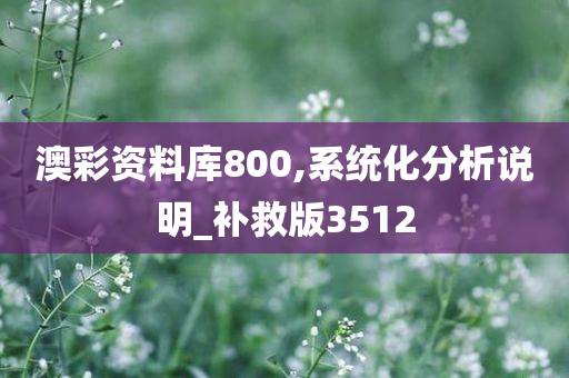 澳彩资料库800,系统化分析说明_补救版3512