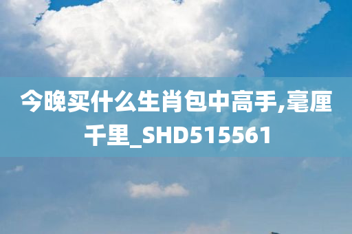 今晚买什么生肖包中高手,毫厘千里_SHD515561