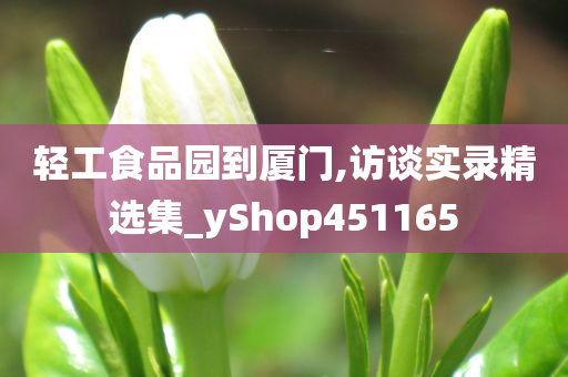 轻工食品园到厦门,访谈实录精选集_yShop451165