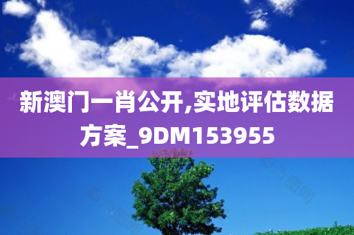 新澳门一肖公开,实地评估数据方案_9DM153955