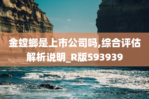 金螳螂是上市公司吗,综合评估解析说明_R版593939