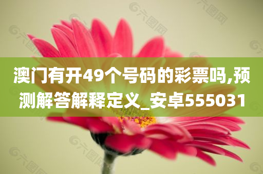 澳门有开49个号码的彩票吗,预测解答解释定义_安卓555031