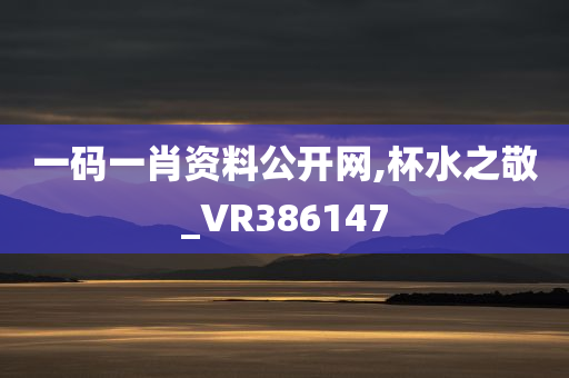 一码一肖资料公开网,杯水之敬_VR386147